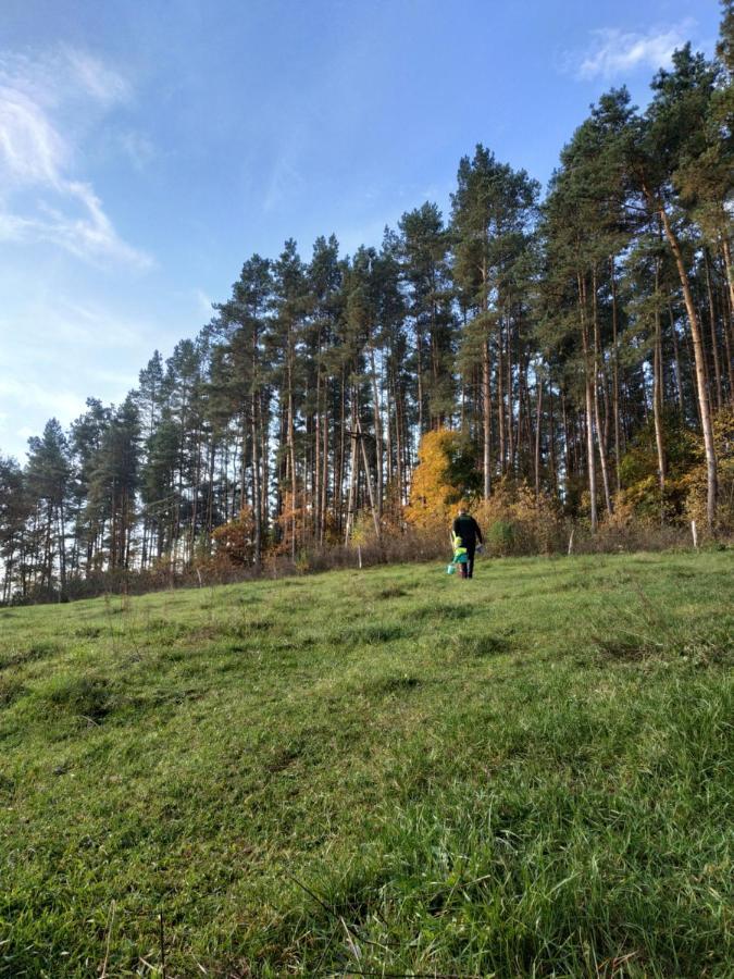 Domki Nad Jeziorem - Zalesie 7D Zalesie (Olsztyn) Exteriör bild