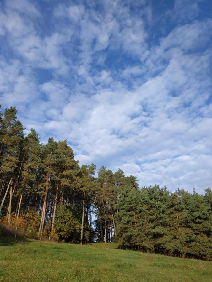 Domki Nad Jeziorem - Zalesie 7D Zalesie (Olsztyn) Exteriör bild