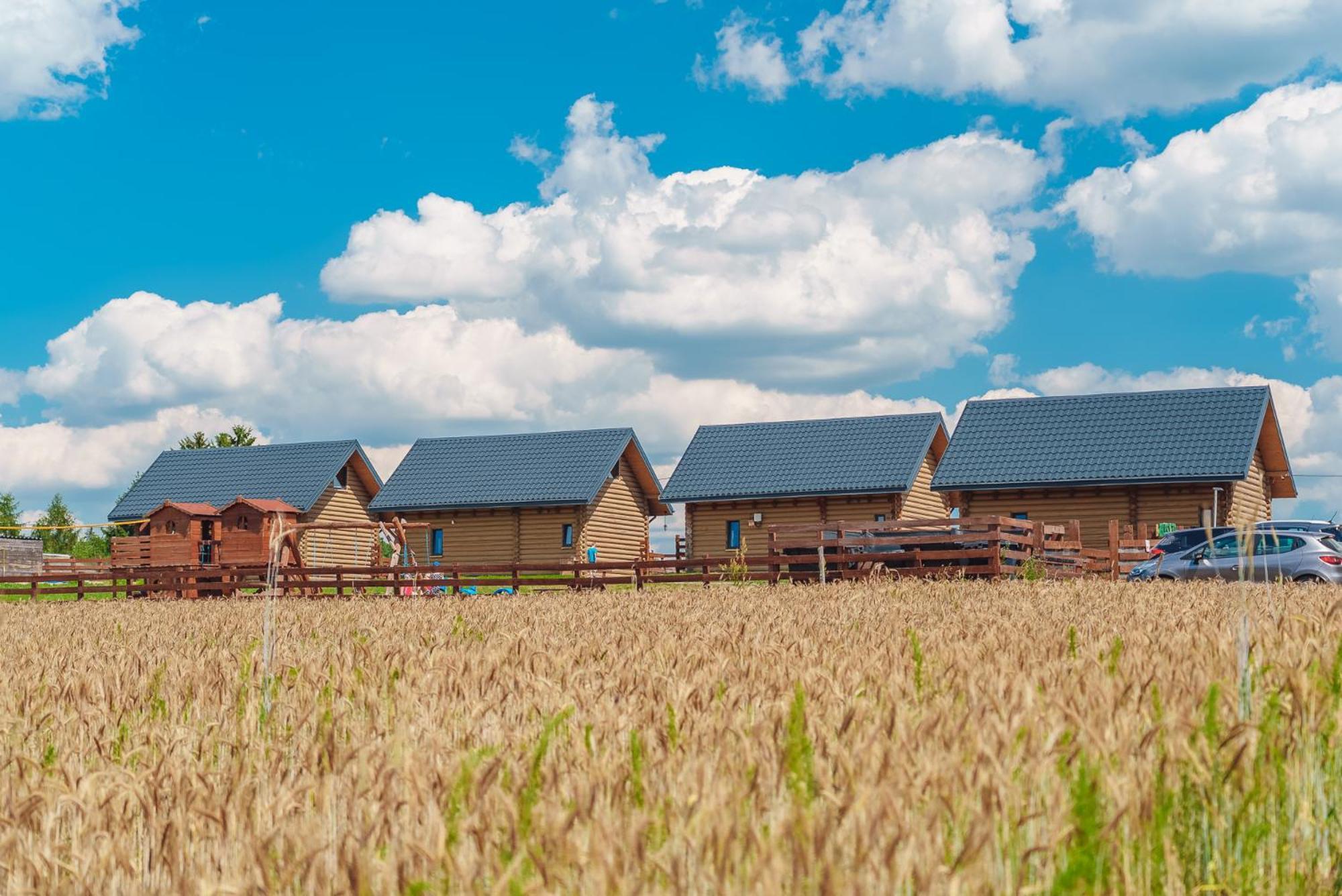 Domki Nad Jeziorem - Zalesie 7D Zalesie (Olsztyn) Exteriör bild